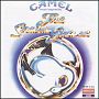 Camel. 1975 - The Snow Goose