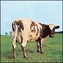 Pink Floyd. 1970 - Atom Heart Mother