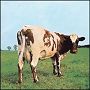 Pink Floyd. 1970 - Atom Heart Mother