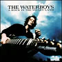 Waterboys. 2000 - A Rock In The Weary Land